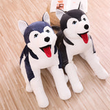 Husky Plush Toy