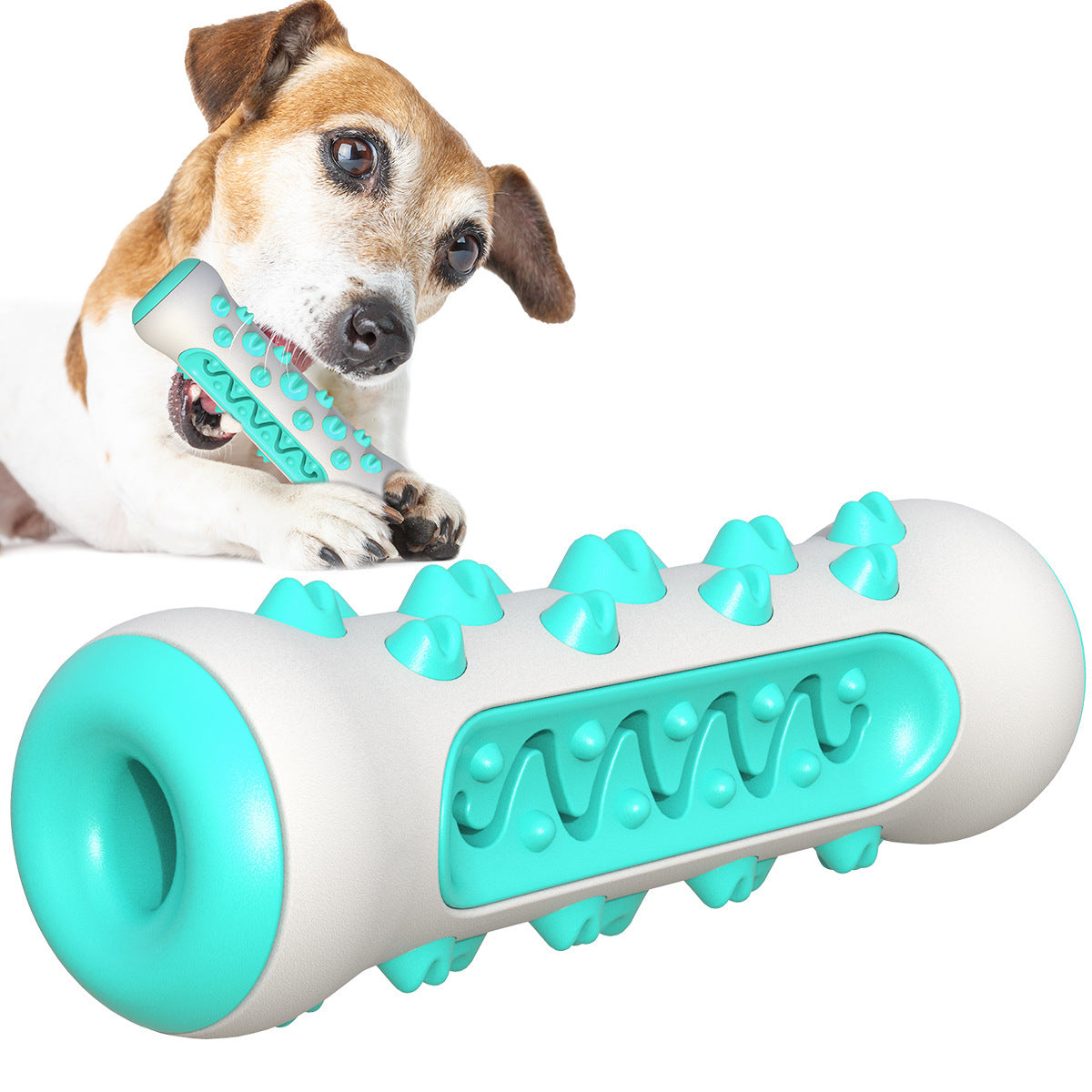 Dog Chew Toothbrush Toy