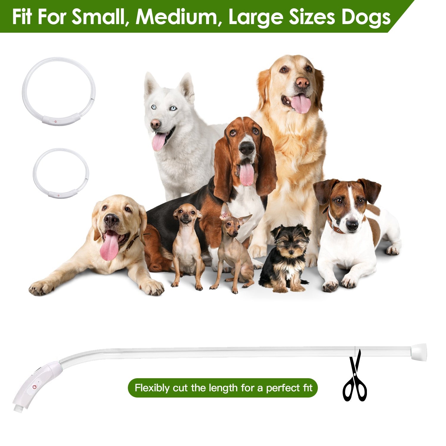 USB Rechargeable LED Dog Safety Collar
