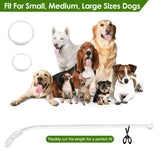 USB Rechargeable LED Dog Safety Collar