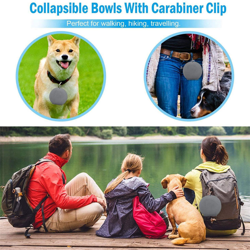 Foldable Rubber Double Pet Bowl for Dogs & Cats
