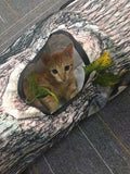 Tree Pattern Cat & Dog Tunnel Toy Interactive Pet Play Tunnel
