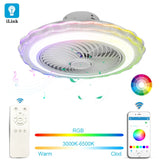 50CM LED Ceiling Fan with Light
