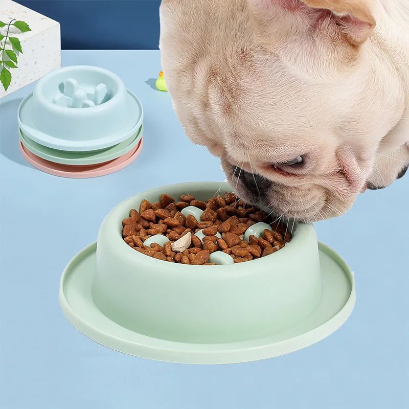 Cartoon Pet Feeding & Watering Dispenser Large Capacity for Cats & Dogs