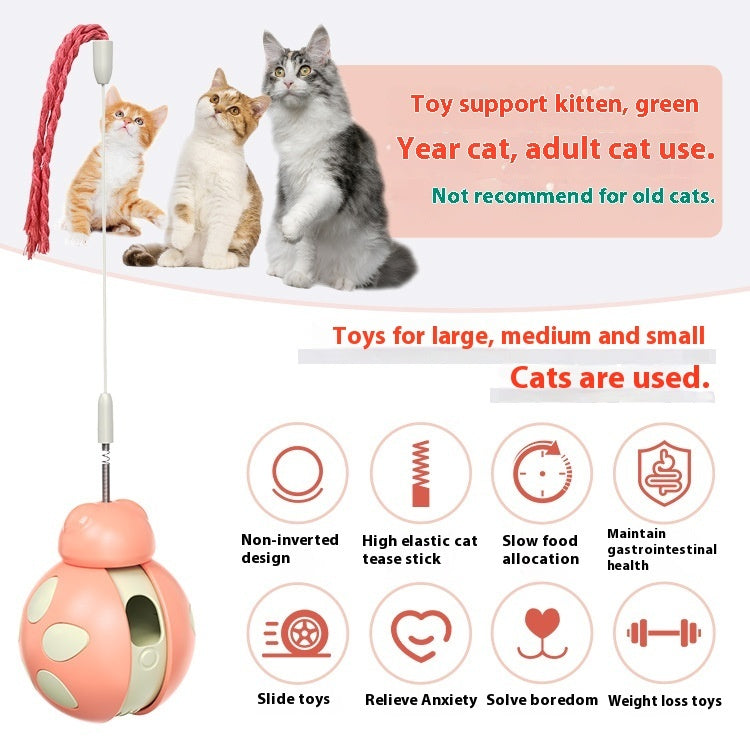 Interactive Cat Toy for Slow Feeding & Fun Food Dispensing