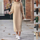 Women’s Winter Turtleneck Knitted Sweater Dress Long Loose Pullover