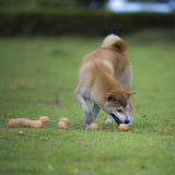 Tooth Cleaning Toy for Puppies