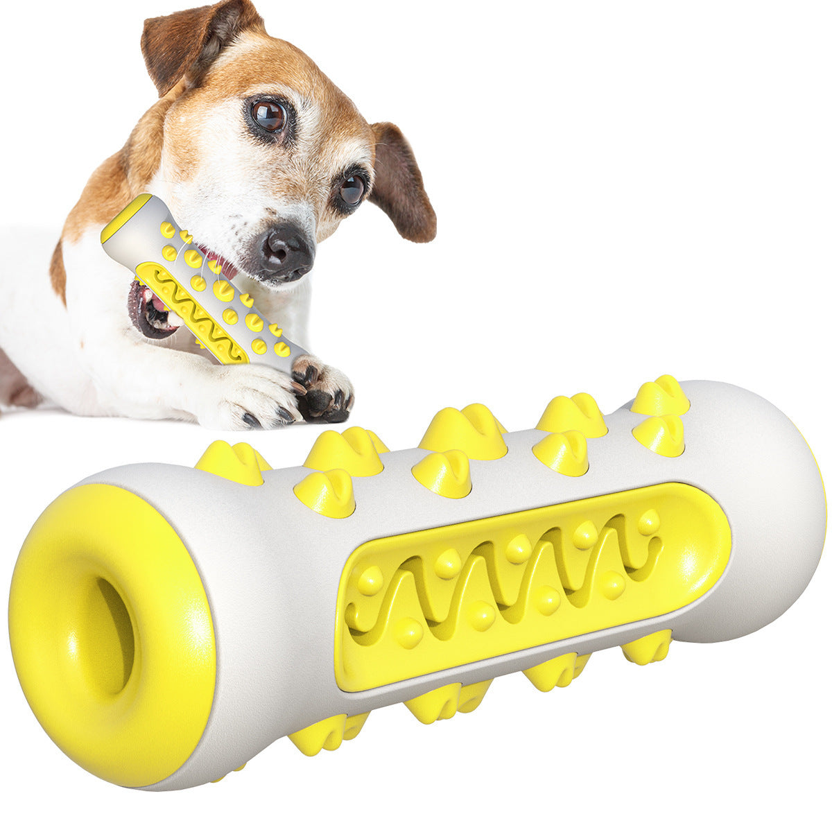 Dog Chew Toothbrush Toy