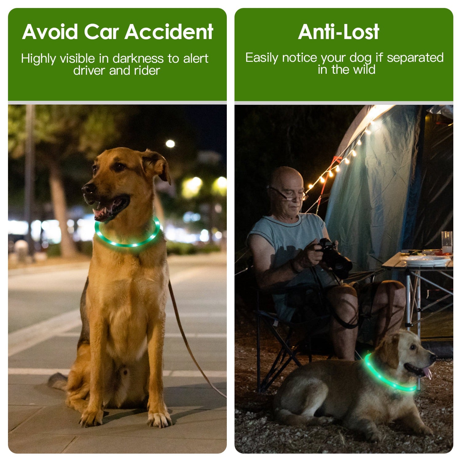 USB Rechargeable LED Dog Safety Collar