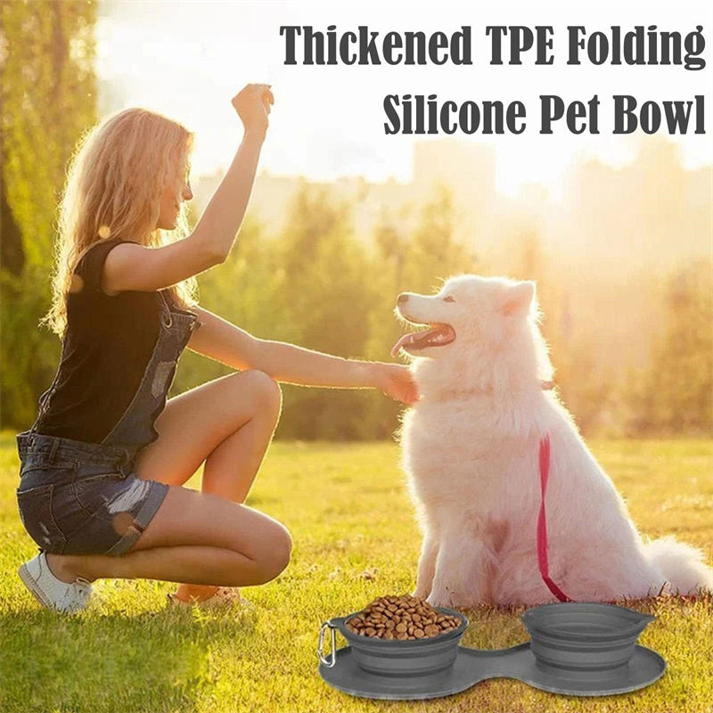 Foldable Rubber Double Pet Bowl for Dogs & Cats