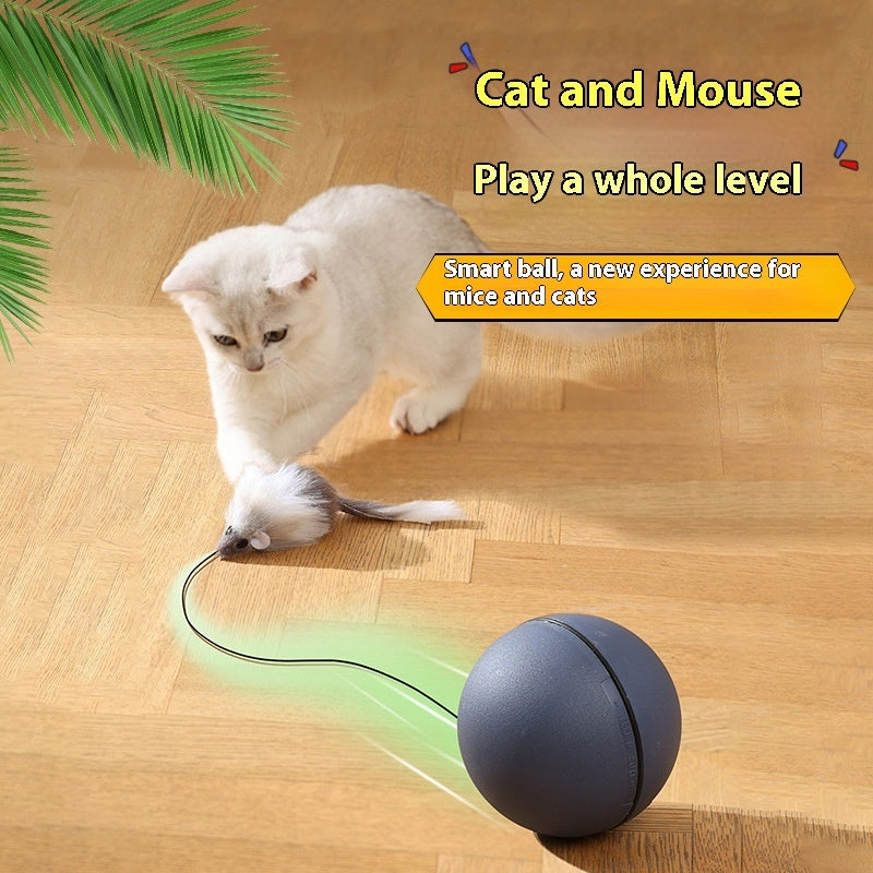 Automatic Rolling Mouse Teaser Ball for Cats & Dogs Interactive Pet Toy