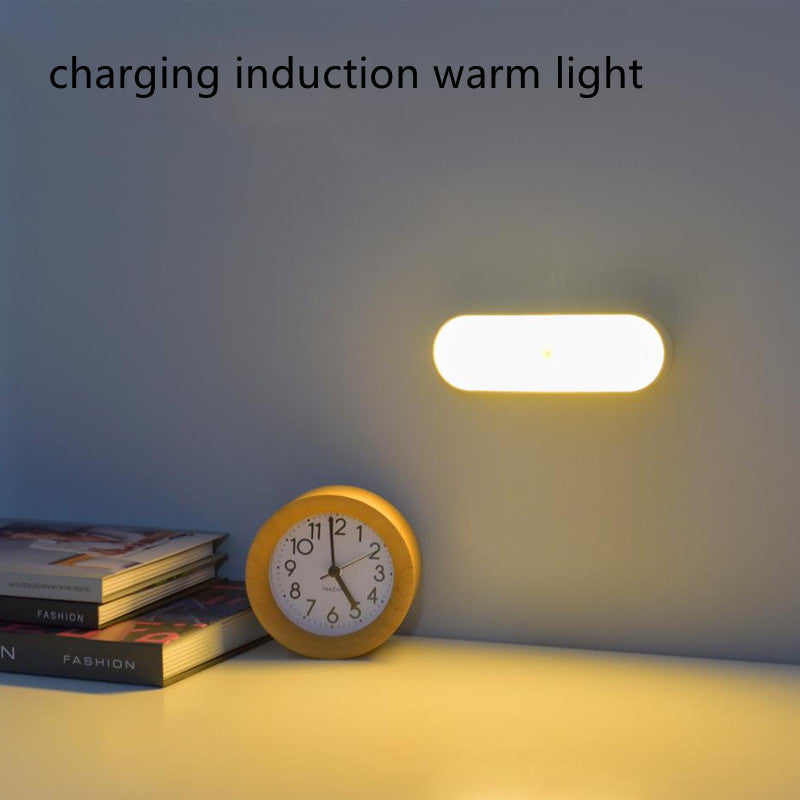 Human Body Induction LED Night Light