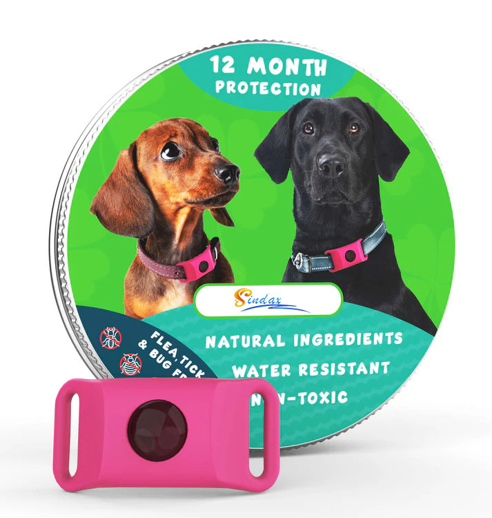 Flea & Tick Protection Collar for Dogs & Cats