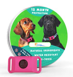 Flea & Tick Protection Collar for Dogs & Cats