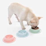 Cartoon Pet Feeding & Watering Dispenser Large Capacity for Cats & Dogs