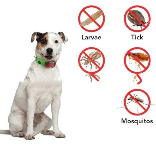 Flea & Tick Protection Collar for Dogs & Cats