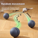 Automatic Rolling Mouse Teaser Ball for Cats & Dogs Interactive Pet Toy