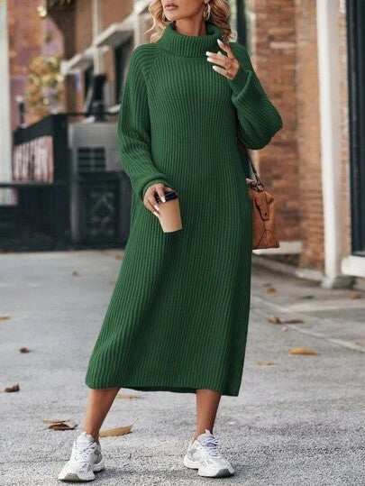 Women’s Winter Turtleneck Knitted Sweater Dress Long Loose Pullover