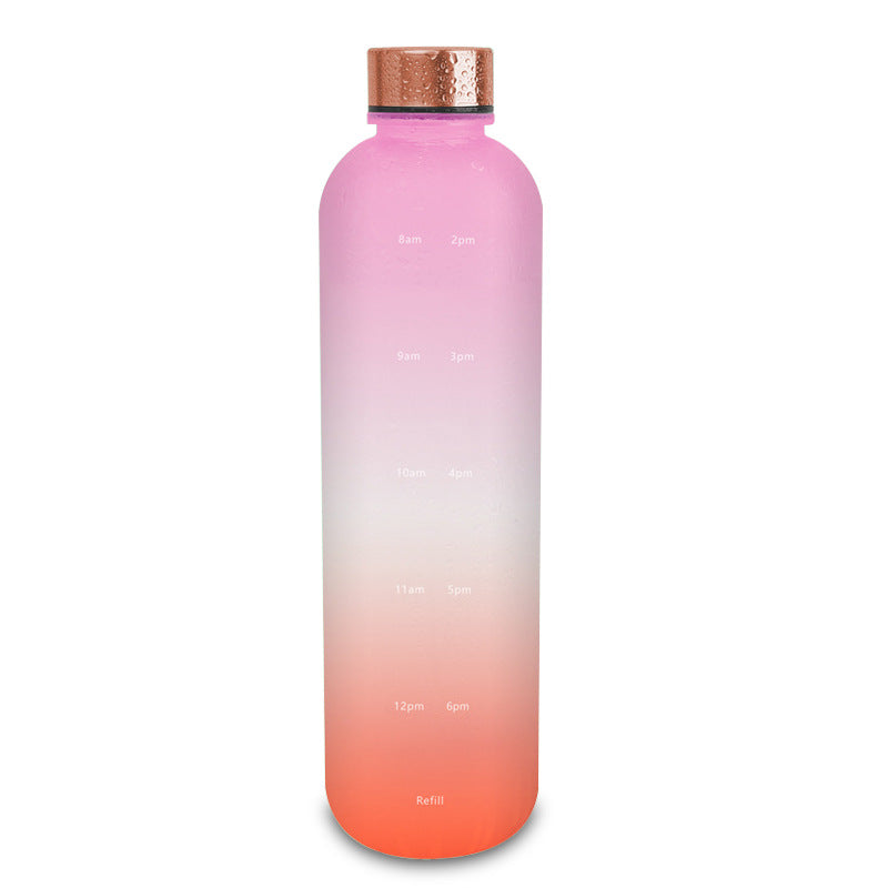Frosted Gradient Plastic Sports Water Bottle with Handle