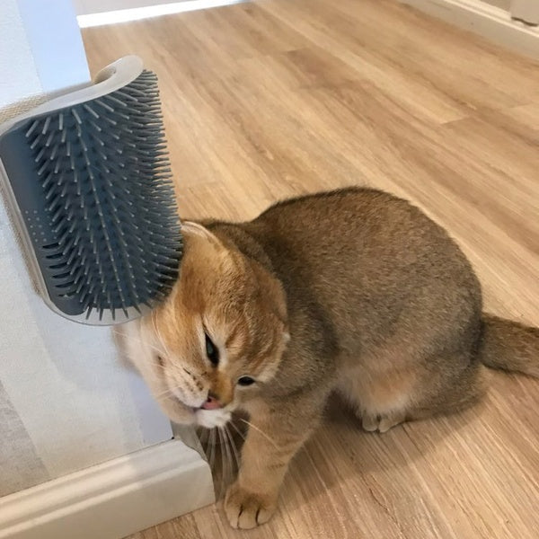 Self-Grooming Cat Brush Wall-Mounted Rubbing Device
